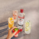 斯米诺（Smirnoff）红牌伏特加 蒸馏酒 鸡尾酒mojito莫吉托基酒 洋酒 700ml