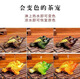 Qingtianwenyue creative tea pet ornaments to attract wealth, color-changing golden toad, three-legged color-changing tea set, tea table, tea tray, tea ceremony accessories, tea toy, solid, solid large golden toad (turns golden, about 13cm long)