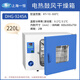 Yiheng Shanghai Electric Blasblasetrockner Laborofen Konstante Temperatur Industrieofen Kleiner Trockner Box DHG-9013A: RT+10 ~ 200250