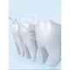 Bixiang Bixiang Máquina de descarga de dientes para la limpieza de los dientes domésticos Agua portátil Flosa Dientes orales Limpieza de dientes orales 847 [con 4 boquillas] Bixiang Máquina de descarga de dientes portátiles Menta verde