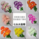 Zi Jiafu Qingming Festival simulated chrysanthemum bouquet funeral supplies grave sweeping flowers fake flowers tombstone display floral arrangements grave silk flowers 5 yearning chrysanthemums 5 pieces
