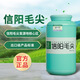 Shengshi Jiaming 2023 new tea Xinyang Maojian tea wholesale rainy green tea Maojian loose packaging canned 250g 125g*2 cans