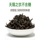 Beijing Tongrentang Qingqianliu Materiales medicinales chinos Wild Jinqianliu Qingqianliu Tierna brotes tiernos de reemplazo de té de té de mazón empapado en agua [1 lata] Qingqianliu 250g