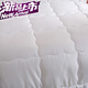Nanbowan Luolai Life's brand fiber spring and autumn quilt, winter quilt, warm quilt, core, four seasons quilt, Yiyun seven-hole anti-mites spring and autumn quilt 220*240cm