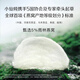 小仙炖【新品上市】鲜炖燕窝 小鲜瓶43g 滋补营养品送孕妇长辈 即食燕窝 年套餐43g*336瓶-无糖-每周送7瓶