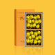 Tianfu Mingcha Tea Rhyme Oolong Tea Oolong Tea Oolong Tea Oolong Tea Oolong Tea Independent Packaging Box 204g Cold Brew Tea