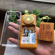 Jusheng D56 V761 Mobile China Unicom Telecom Video King Old Man Mobiltelefon 16G Memory Big Sound Battery Black Mobile Video King 16g