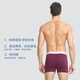 Schister Unterwäsche Männer 2-Pack Deutsche Shumei Baumwolle 20751t Softboxer Shorts Großgröße Herrenunterwäsche 7881 Farbe Blau + Royal Blue (13977t) 2xl