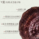 
Ludian Organic Ganoderma lucidum spore powder high-quality organic physical wall-breaking easy-to-absorb nutritional nourishing bottle 10 bags/box one box