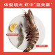 4 prawns with long red claws, net weight 1.2 Jin, equal to 0.5 kg, prawn New Year gift box + 1 Jin, equal to 0.5 kg, Yanhao cooked frozen Arctic sweet shrimps