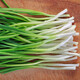 
Vegetable seed set collection Shandong Shouguang Rapeseed Collection Various vegetable seeds [Hui] About 1,050 small onion seeds in farmhouse