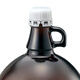 4l Chromatographische chemische Reagenzflasche Flasche Matching Mobile Phase Flaschenkappe Methanol Ethanolflasche Vermeiden Sie Licht und Korrosionsbeständigkeit Ohrhubflasche Glas Gallone Flasche 2-9758-02 2-9758-02 Unreined 3,84L 1 Box (6 Teile)