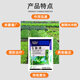 Wardino 75% chlorothalonil fungicide blue powder cucumber vegetable fruit tree powdery mildew downy mildew chlorothalon pesticide fungicide