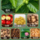 Beitongrentang Green Qian Liu Mulberry Leaf Tea Corn Scarf Muraya Tea Corn Scarf Tea Green Qian Liu Tea Bedding Root Tea Orange Peel Gardenia Pueraria Barley Tea Health Tea Bag [30 small bags * 1 box]