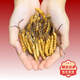 Аутентичные Cordyceps Sinensis Первый период выбрали питательные сухие товары Два грамма подарочных коробки для подарков и питательных тоников Cordyceps, подлинные Cordyceps sinensis в тибетских районах, 50 грамм