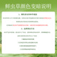 
30 fresh Cordyceps sinensis in Fudonghai (freshly harvested and air freighted by cold chain) about 0.6-0.8 grams to keep fresh throughout the process