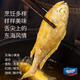 Seaview Frozen East China Sea Small Yellow Croaker 1Jin Jin is equal to 0.5kg 16-20 pieces Fresh fish Seafood aquatic products BBQ Sea-caught New Year's Eve