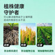 Root rot killer root rot disease special medicine fruit tree vegetable root rot retting root blight withered root rot Lingkang crack root rot killer 1000g * 1 bottle