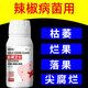 Gengfengwang pepper special agent, pepper disease medicine, gray mold early and late blight, wilt, downy mildew virus disease, pepper medicine 100ml (5 acres)