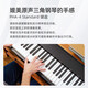 罗兰（Roland）电钢琴FP-18重锤键盘88键成人考级FP30X便携式儿童初学入门电钢琴 FP-30X黑色琴体（单踏板）