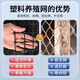 Danau Meng Plastic Grid Farm Net Fish Pond Protection Anneau Corn Poulet Net Net Isolation Isolation Fence Garden Vegetable Guardian Net 1,2 mètres de haut + 3 cm Trou + Tie 4,8 mm d'épaisseur (50 mètres / rouleau) 1517