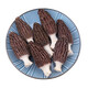 Chu Shi Yanxuan Fresh Morel Fresh Mushrooms Yunnan Specialty Mountain Delicita de estacionales Fresos frescos Fungus Caja de regalo Moreles de vegetales Fresh Morels 880 g (caja de regalo asequible)