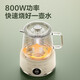 SUPOR Health Pot 316L Stainless Steel Office Home Portable Tea Kettle 1L Mini Health Cup Health Pot Tea Maker Constant Temperature Kettle Small Flower Teapot Electric Stewing Cup SW-10Y04 1L