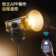 Jimantu live broadcast fill light 300W professional COB photography lamp indoor studio shooting live broadcast room spherical lamp deep mouth parabolic soft box video shooting sun lamp single lamp set
