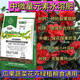 5 Jin Jin equivale a 0,5 kg Abono medio y oligoelementos Calcio Magnesio Azufre Hierro Zinc Boro Cobre Molibdeno Manganeso Cloro Abono foliar hidrosoluble Abono compuesto para frutas y verduras Abono medio oligoelementos 1,5 Jin Jin equivale a 0,5 kg Abono para jardinería
