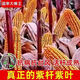 New species Yufeng 303 Yufeng 308 high-yielding corn seeds, lodging-resistant, short-stemmed, national-approved large-stick corn seeds, national-approved original Yufeng 303, 4200 grains in a bag (random packaging)