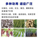 Hengkun (hengkun) authentic red potash fertilizer Canadian general chemical fertilizer agricultural pure potassium foliar fertilizer vegetable fruit tree flower fertilizer 5 bags Express 5 bags