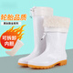 Double Star Rain Shoes White Rain Boots Food Factory Working Water Shoes Anti-Slip Hygiene Boots Labor Protection Rubber Shoes Oil-resistant Water Boots 9926 Men's tall tube without cotton Standard Size 39