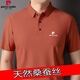 
Pier Cardin brand men's mulberry silk short-sleeved T-shirt summer thin business casual solid color lapel POLO base shirt top white 17088A