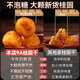 同仁堂（TRT）【9A级大果新货】桂圆肉干新货无核龙眼干特桂圆干级枸杞红枣泡水100g