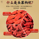 Tongrentang rojo wolfberry ningxia zhongning primer producto nuevo original gran grano lavado wolfberry té rojo wolfberry no sulfur no brief tonic nuevo producto primero [230g] 1 Can Can