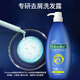 棕榄（PALMOLIVE）【港版独家】高露洁棕榄美之选洗发水洗头膏去屑油性适用620ml