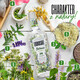 卢布斯基洋酒LUBUSKI GIN卢布斯基金酒植物学家葡萄柚果味 植物学家金酒25度 500ml