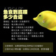 Fish Kirin United States imported marine brand seawater fish feed ornamental fish sea fish open fish fish food clown fish fish food vegetarian seafood thin slices 71g