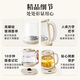 Bear Health Pot Tea Maker Kettle Tea Kettle 316L Stainless Steel Multi-stage Insulation Mini Glass Flower Teapot Smart Electric Kettle 1.5L YSH-E15M3