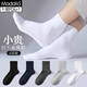 Modal 5 pairs of men's 100% cotton socks, autumn and winter white mid-calf socks, sweat-absorbent and breathable mid-calf men's socks for all seasons, pure cotton business, white, 5 pairs, one size fits all, recommended for sizes 39-44
