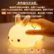 Yangzhipaipai silicone night light baby girl birthday gift for girlfriend bedroom bedside atmosphere practical and heart-warming