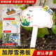 Xushansi Kindergarten Simulation Pot Brand Gardening Simulation Flower Pot Simulation Label Signage Succulent Conservation Brand DIY Handmade YHCD-02 10x16cm