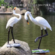 Hongri Guanghui fiberglass simulated crane sculpture outdoor garden forest landscape pool rockery landscaping decoration red-crested egret ornaments combination two