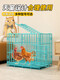 Yuhualuo Chicken Cage Household Small Large Extra Large Chicken Cage Automatic Manure Cleaning Duck Goose Poultry Folding Breeding Cage Chicken Coop Bold Black (Package 1) 61*42*50cm Raise 1-2