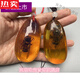 SNQP high-end quality amber insect specimens, artificial amber true cicada specimen pendants, hand-held insect amber centipedes
