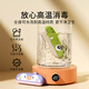 Lige German brand children's harmonica special blowing instrument for beginners in infant silicone toys children's mouth organ Motorga Penguin