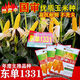 Original stable yield and disease-resistant Dongdan 1331 corn seeds East Asian small steel cannon corn seeds five countries approved corn original factory bag quality Dongdan 1331 Dongdan 1331 4400 grains x5 bags - standard 5 acres of land