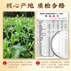 中谷御品茶叶绿茶云雾绿茶2025新茶特级头采日照充足中秋节茶叶礼盒400g
