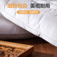 Boyang Home Textiles Pillow Cassia Seed Pillow Core Double Pillow Core Adult Student Herbal Pillow Cassia Seed Pillow 48*74cm