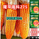 批发国审稳产玉米种子四季红轴大棒抗倒抗锈病马齿粒 巨无霸双棒王【隆平275】 巨无霸【一袋3.4斤】+稳产技术